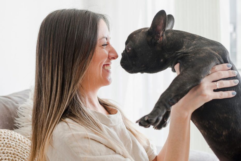 Entenda os direitos e responsabilidades dos tutores de animais em relação à pensão para pets - Guia completo 3